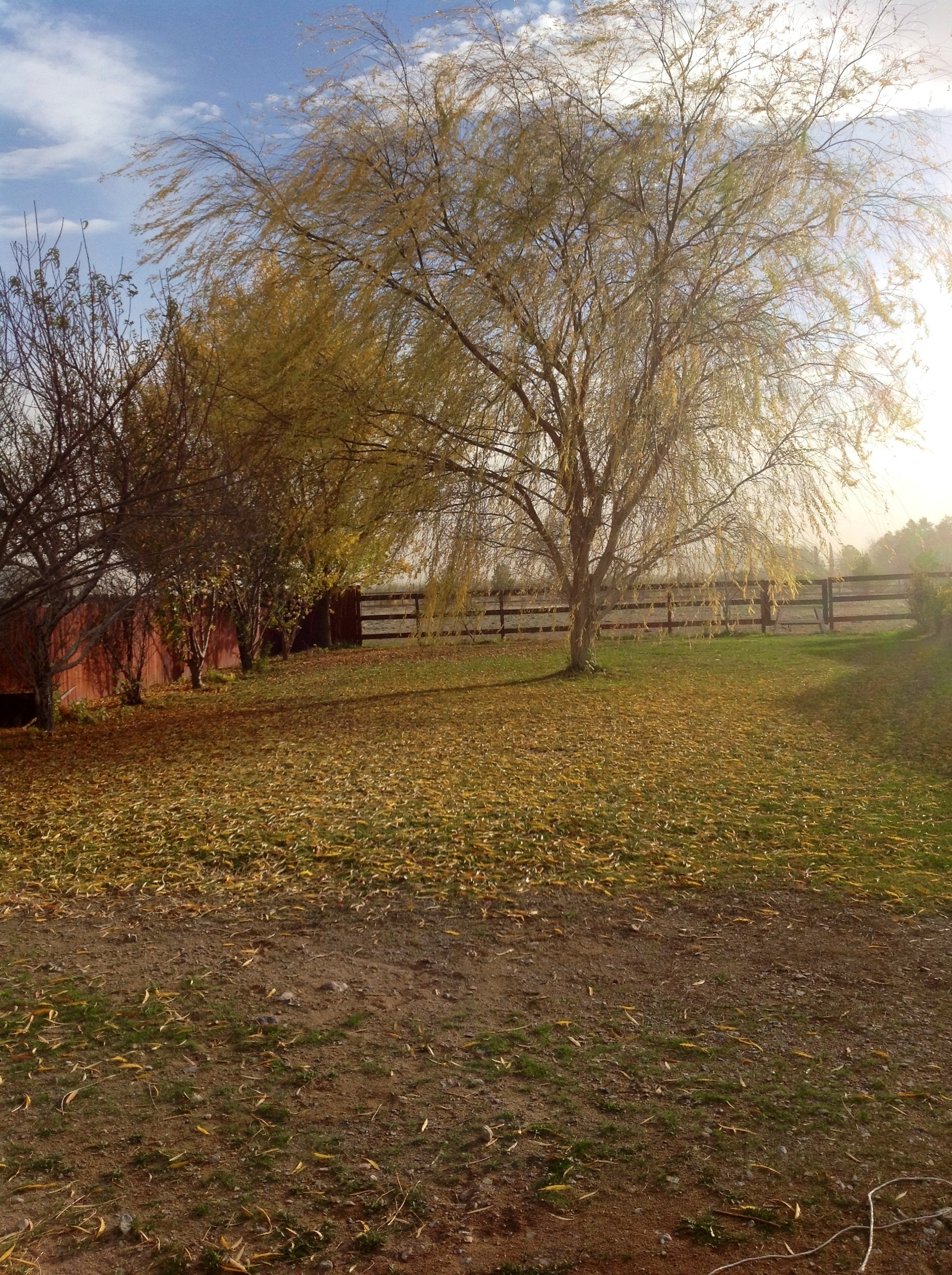 At the Ranch! | WOW ME IF YOU CAN!